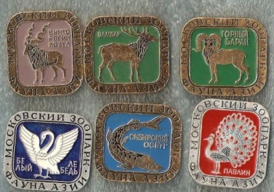 сканирование0001 (3).jpg