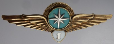 wing-shturman.JPG