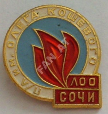 имени_кошевого.jpg
