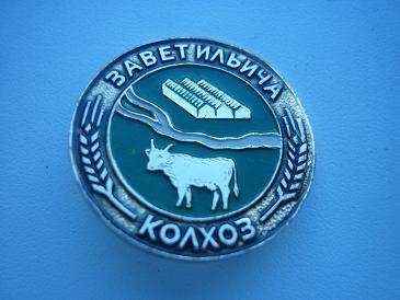 P1030696.JPG