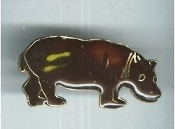 Hippopotamus.JPG