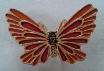 bVDG61777.jpg