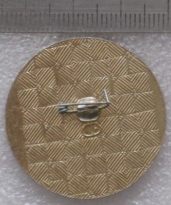 IMG_5007 (800x600).jpg