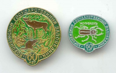 Воронежский заповедник.jpg