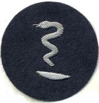 German Army Pharmacists Arm Patch .jpg