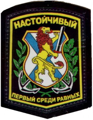 БФ, эскадренный миноносец Настойчивый.JPG