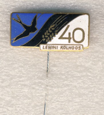 93.jpg