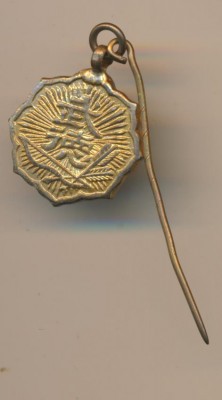 1353.jpg