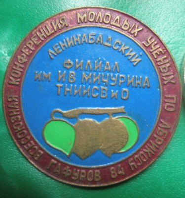 Абрикос.jpg