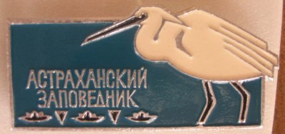 IMG_4213.JPG (91.77 КБ) 6014 просмотров IMG_4213.JPG