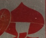 2015.jpg