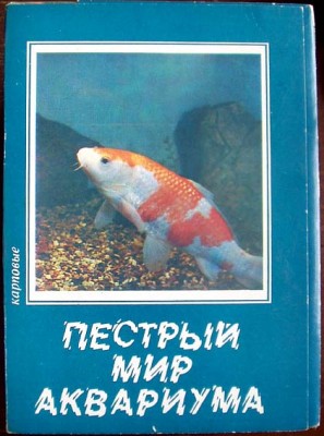 01.jpg