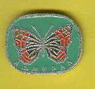batterfly_02.jpg