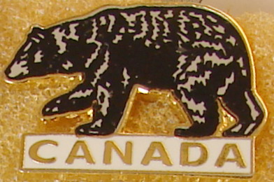 Bear2.jpg