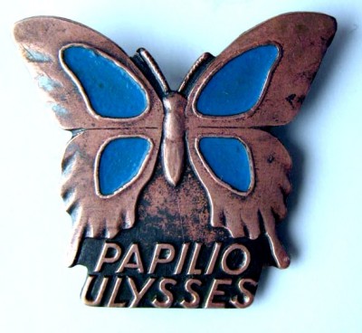 papilio_ulisses.jpg