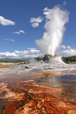 300px-yellowstone_castle_geysir_edit.jpg