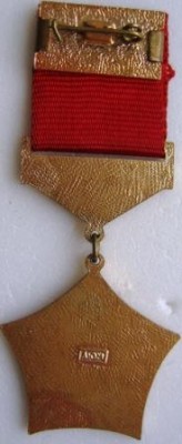 лауреат фестиваля реверс.JPG