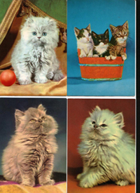 открытки кошки 03.jpg