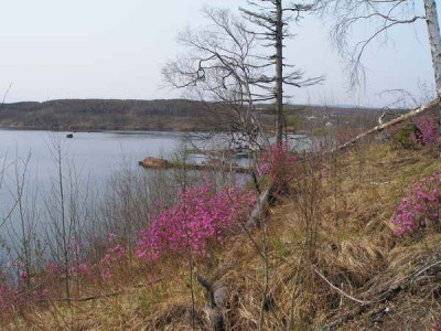 2893.jpg