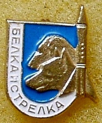 Belka_i_Strelka.jpg
