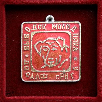 Медаль ДОСААФ Рига Выводок молодняка.jpg