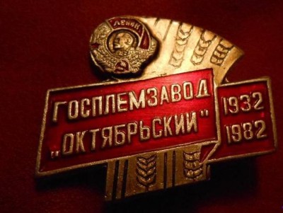 5533306660.jpg