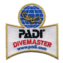 PDIPDM.jpg