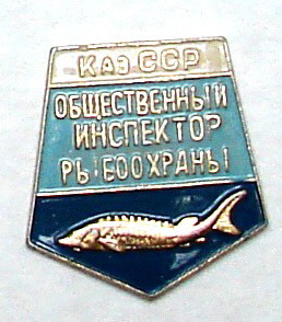 Казах.jpg