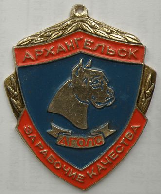 Медаль АГОЛС.jpg