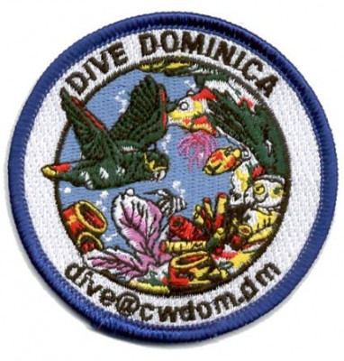DiveDom-P.jpg