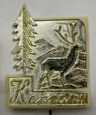 Олень Карпаты.jpg