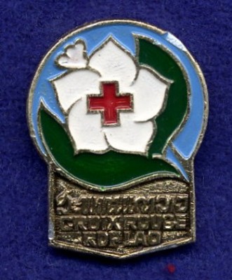 File18.jpg