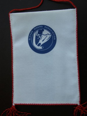 PA150135.JPG