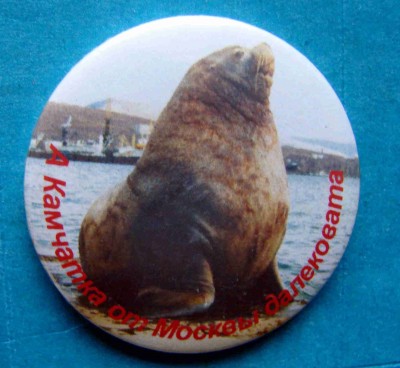 Sea lion3.jpg (75.14 КБ) 3203 просмотра Sea lion3.jpg