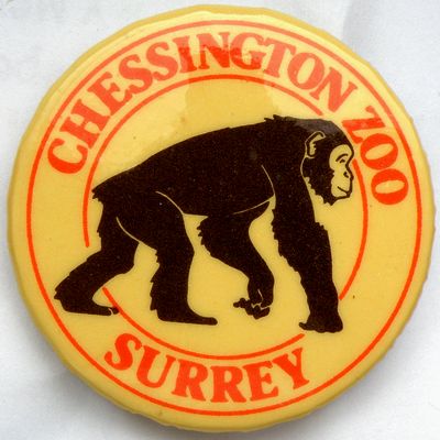 Chessington Zoo обезьяна.jpg