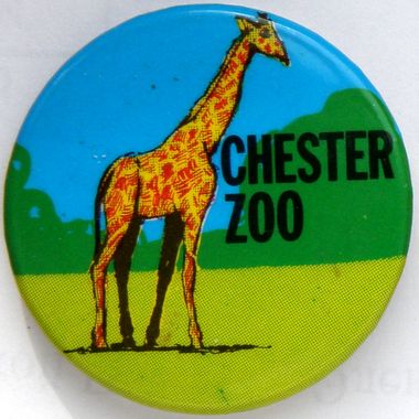 Chester Zoo Жираф.jpg