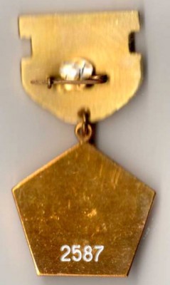 img929.jpg