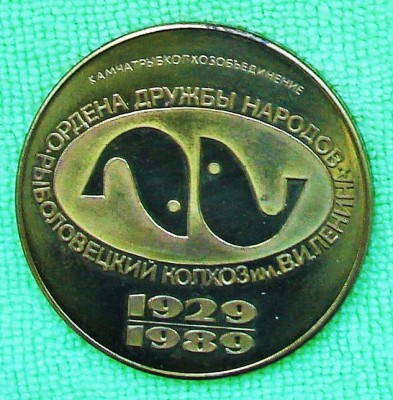 DSC07434 (2).JPG