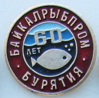 DSC07471 (2).JPG