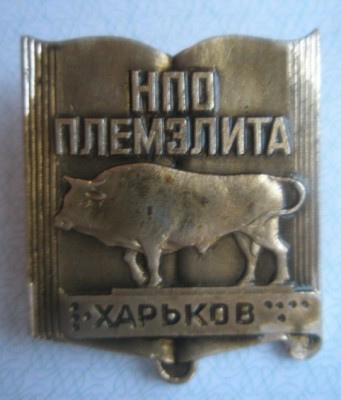 Племэлита.jpg