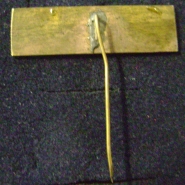 DSC00010-2.jpg