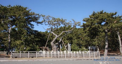 Hagoromo-no-Matsu.jpg