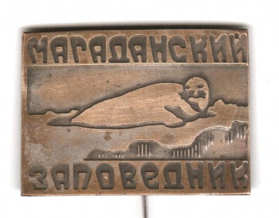 тюлень 001.jpg