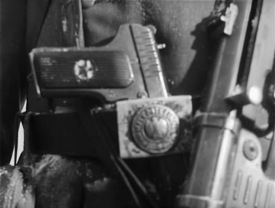 11955166.jpg