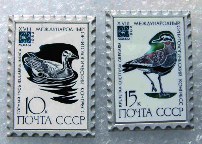 Орнитол. конгресс2.jpg