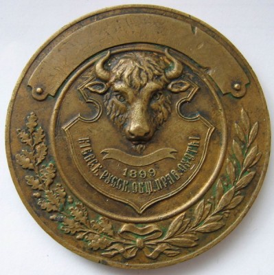 Собаки 4_resize.jpg