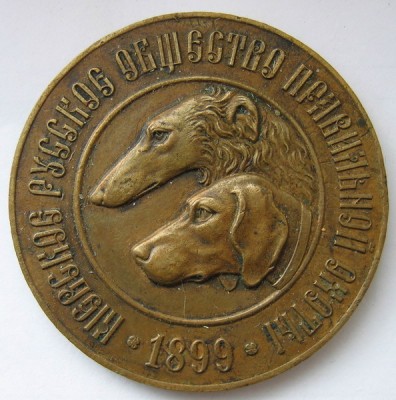 Собаки 3_resize.jpg