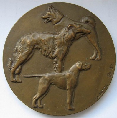 Собаки 1_resize.jpg