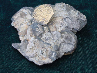 Auction4.jpg