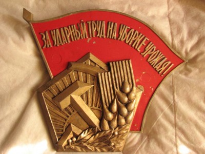 815248755.jpg